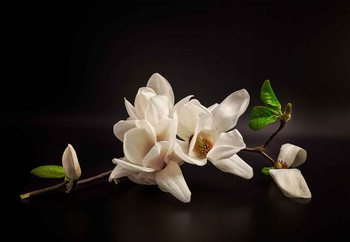 Wall Mural Magnolia