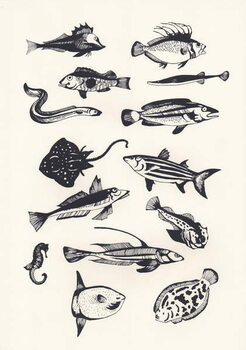 Wall Mural Monotone Plain Fish, 2015