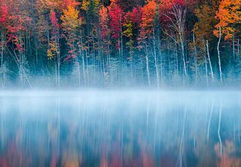 Wall Mural Morning Reflection