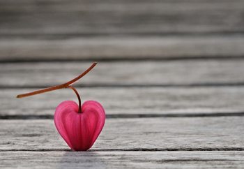 Wall Mural Natural Heart