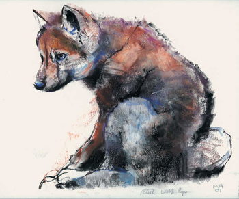 Wall Mural Polish Wolf Pup, 2001