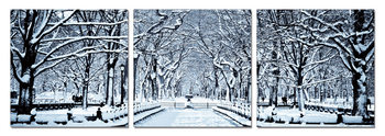 Wandbilder  Snowy park