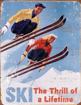 Metalen wandbord Ski - Thrill of a Lifetime