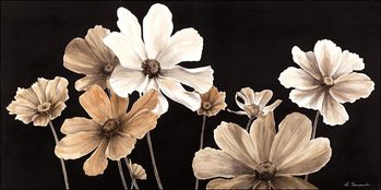 Εκτύπωση έργου τέχνης  White Cosmos