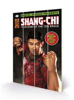 Obraz na dřevě Shang Chi and the Legends of the Ten Rings - Battle Ready