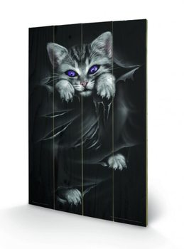 Obraz na dřevě Spiral - Bright Eyes