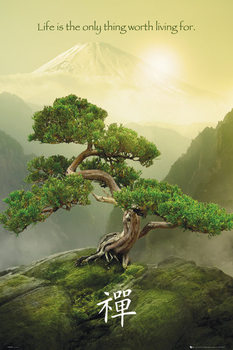 Innrammet plakat Zen