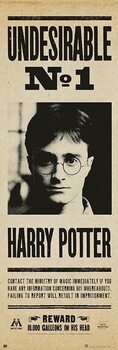 Αφίσα πόρτας Harry Potter - Undersirable no. 1