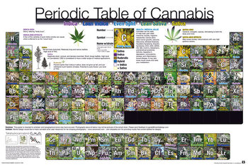 Αφίσα Periodic Table - Of Cannabis
