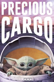 Αφίσα Star Wars: The Mandalorian - Precious Cargo