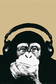 Αφίσα Steez - monkey