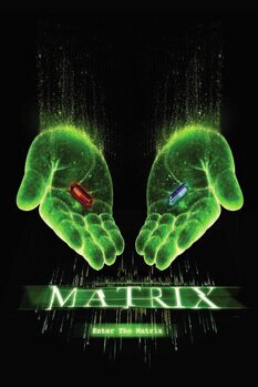 Εκτύπωση καμβά Matrix - Choose your path