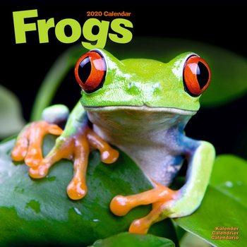 Календар 2020  Frogs