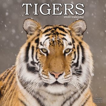 Календар 2020  Tigers