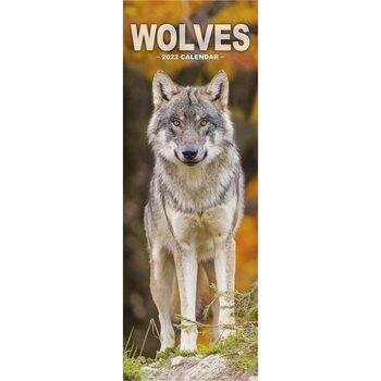 Календар 2022 Wolves