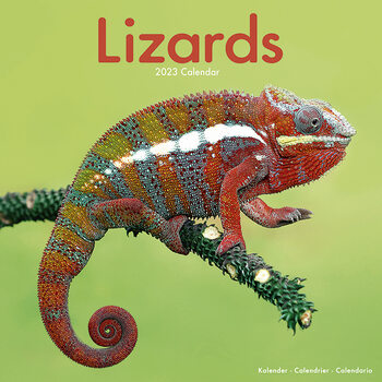 Календари 2023 Lizards