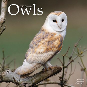Owls Календари 2020