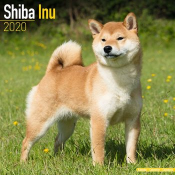 Shiba Inu Календари 2020