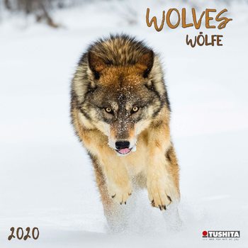 Wolves Календари 2020