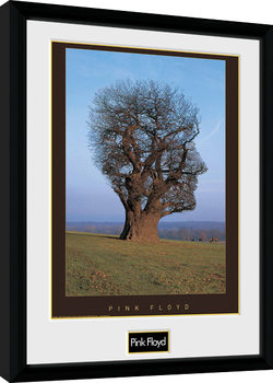 Pink Floyd - Tree Плакат у рамці