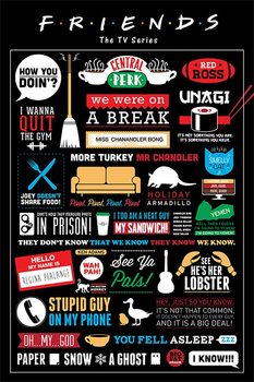 FRIENDS - infographic Плакат