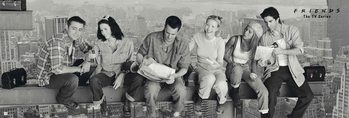 Friends - Skyscraper Плакат