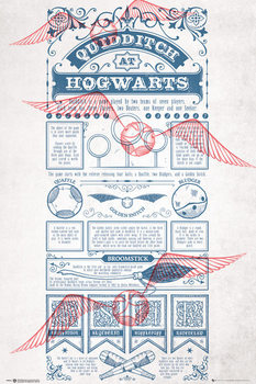 Harry Potter - Quidditch At Hogwarts Плакат