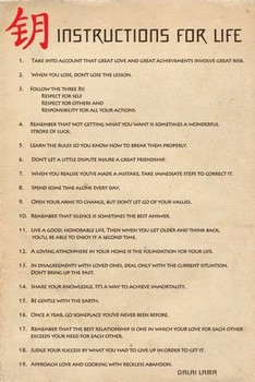 Instructions for live Плакат
