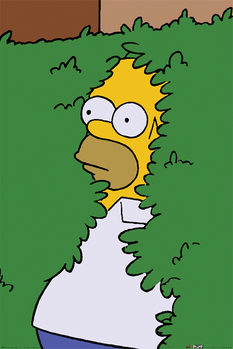 The Simpsons - Homer Bush Плакат