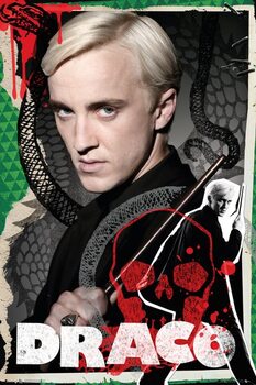 Плакат Harry Potter - Draco