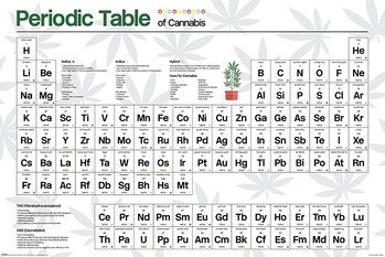 Плакат Periodic Table - Cannabis