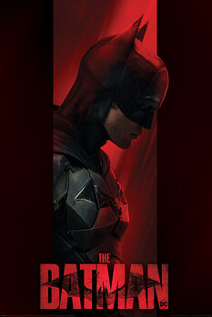 Плакат The Batman - Out of the Shadows