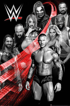 Плакат WWE - Superstars Swoosh