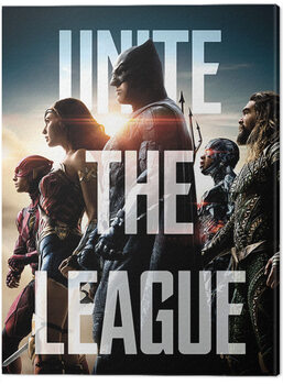 Платно Justice League Movie - Unite The League