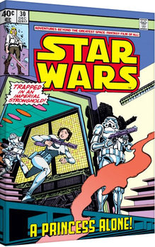 Платно  Star Wars - A Princess Alone