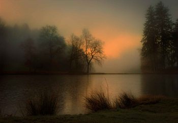 Lovely Dawn фототапет