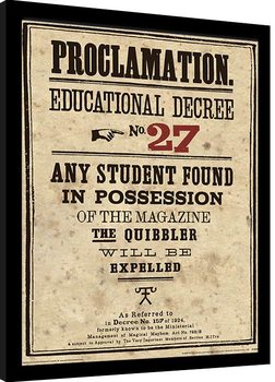 Рамкиран плакат Harry Potter - Educational Decree No. 27