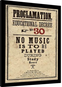 Рамкиран плакат Harry Potter - Educational Decree No. 30