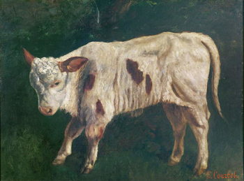A Calf Художествено Изкуство