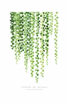 Poster Blursbyai - Watercolour string of pearls