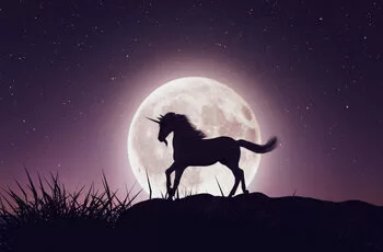 Poster Unicorn