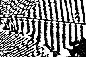 Abstracție în alb și negru