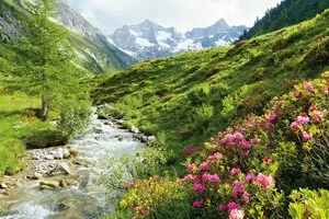 Natur & Landskap