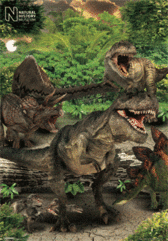 Poster 3D incorniciato Natural history - dino