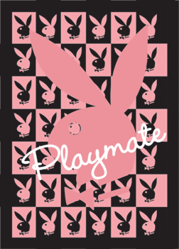 PLAYMATE 3D Plakát, 3D Obraz