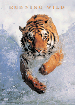 RUNNING WILD - 3D 3D Plakát, 3D Obraz