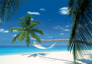 Gerahmtes 3D-Poster MALDIVES ISLAND - hammock