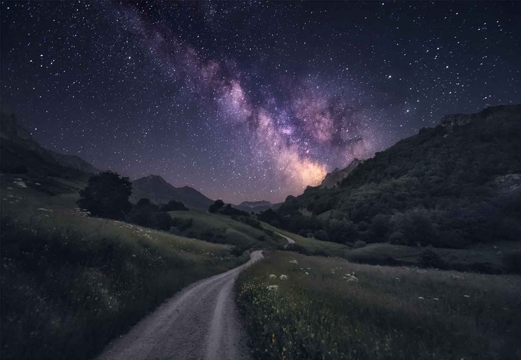 Ταπετσαρία τοιχογραφία Path To The Stars