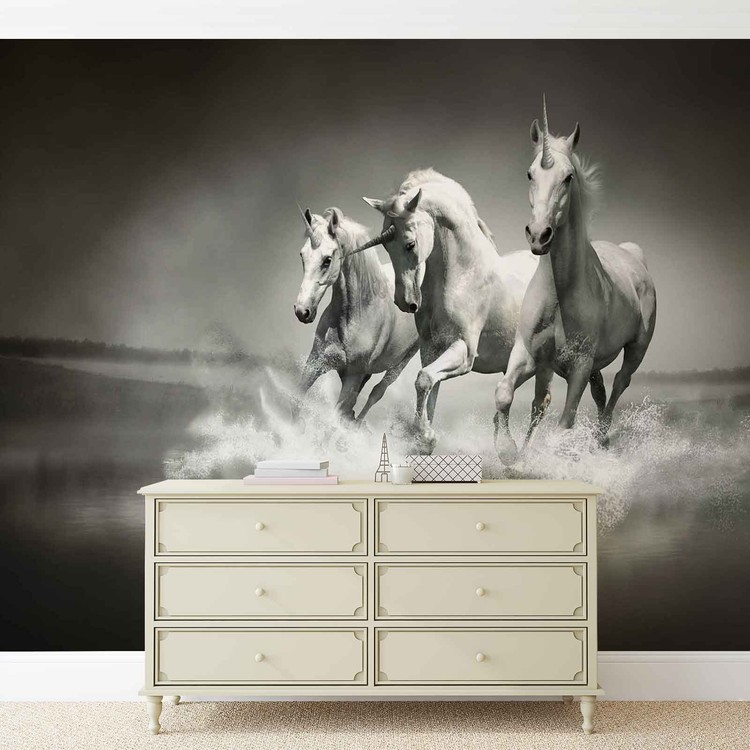 Unicorns Horses Black White Fotoshpaleri Shpaleri Kupiti Na Europosters