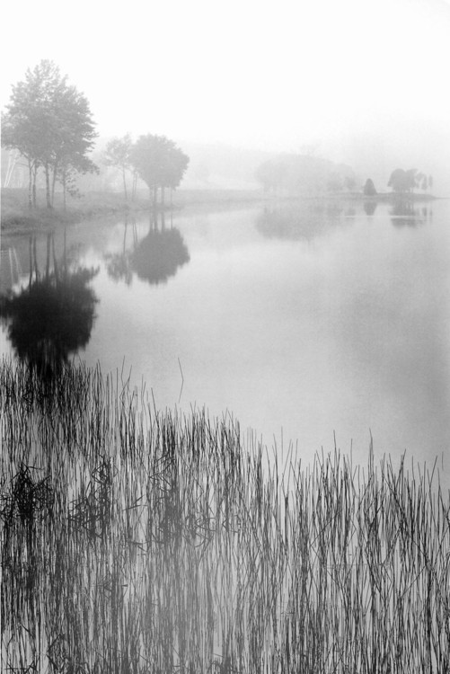 Reproduction d'art Lakeside Mist